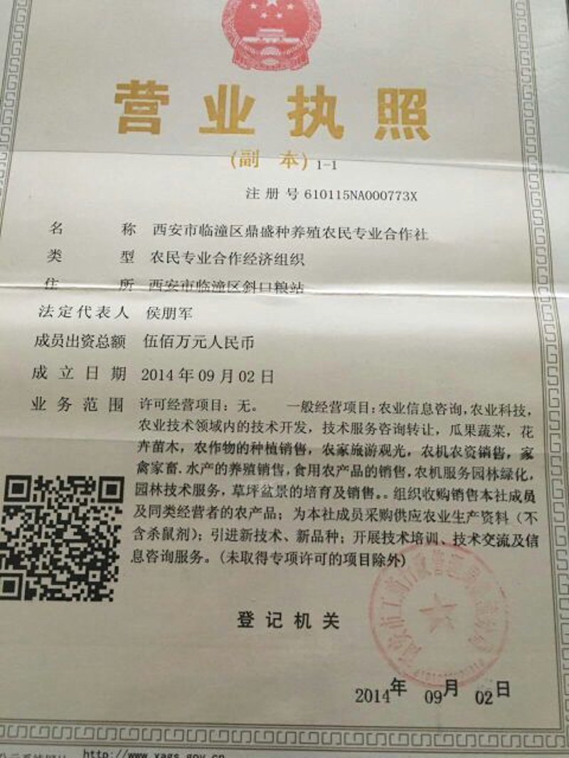 新鲜水果配送：传统与创新的交锋