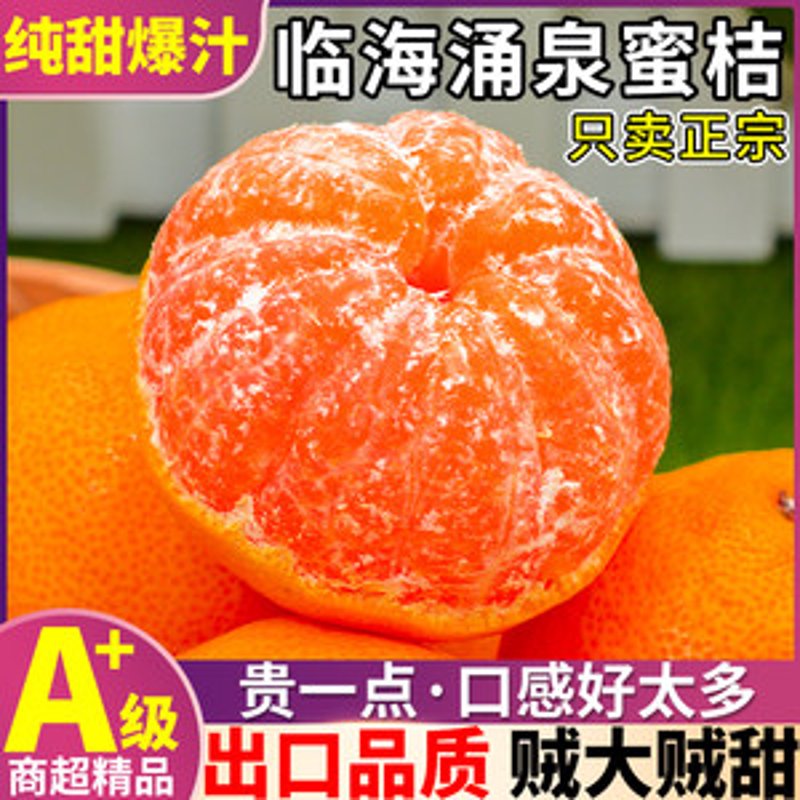 临海果蔬批发：小城中的大生意