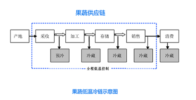 新鲜水果配送：如何选择优质服务